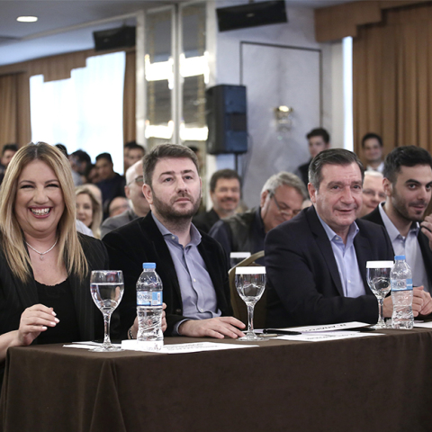 Γεννηματά, Ανδρουλάκης, Καμίνης