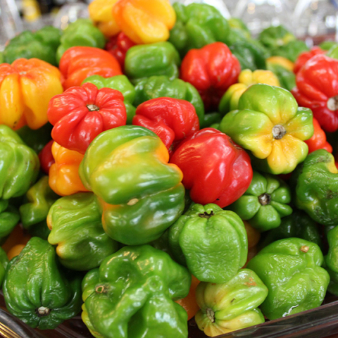 Βιολογικά Προϊόντα