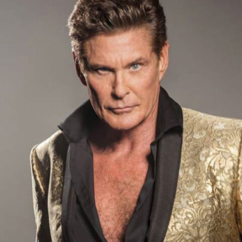 david-hasselhoff