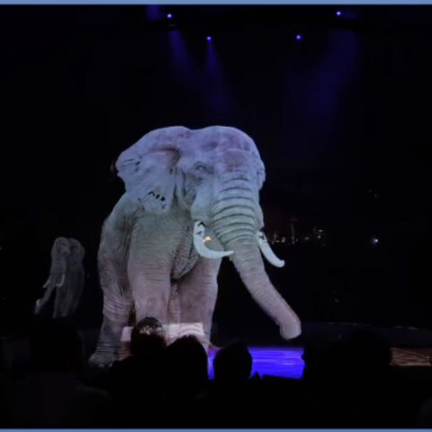 circus-holograms
