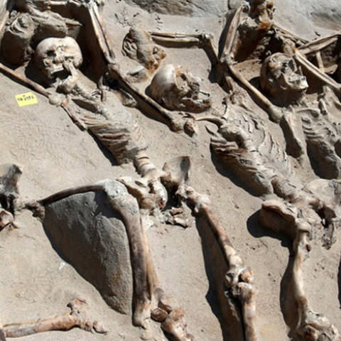 Δεσμώτες του Φαλήρου 