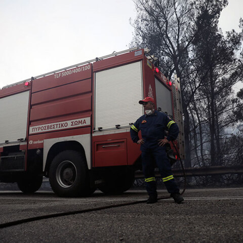 Δασική πυρκαγιά