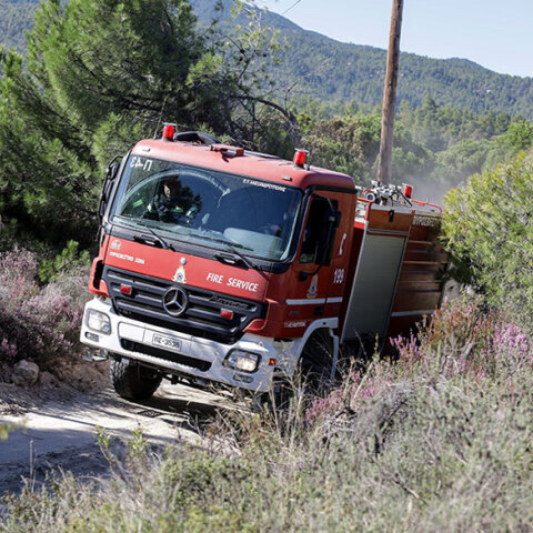 Δασική πυρκαγιά