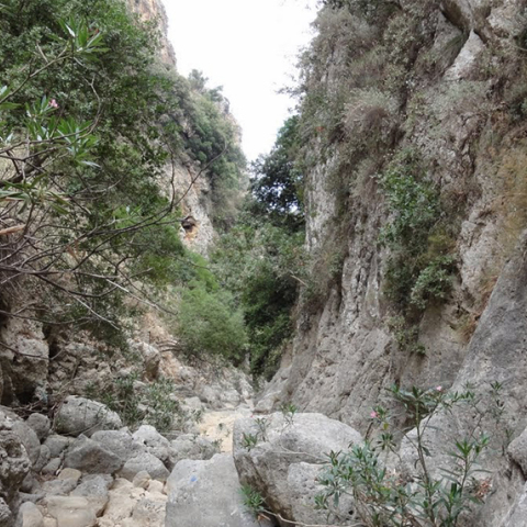 Φαράγγι Ρόκκας