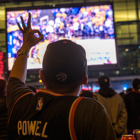 Τορόντο Ράπτορς