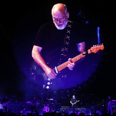 David Gilmour