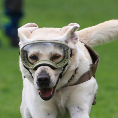 Η Φρίντα του Μεξικού