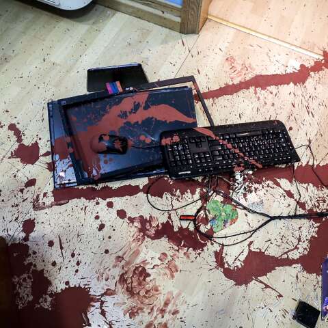 Asylo Panepistimia.jpg