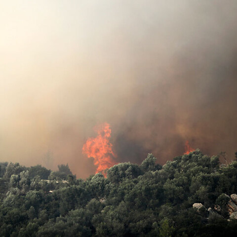 Δασική πυρκαγιά