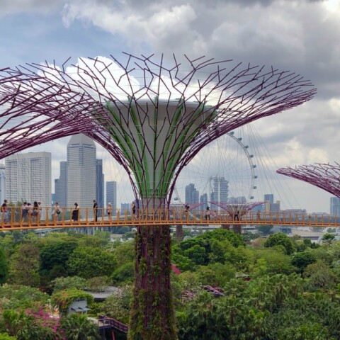 © Nick Fewings/ Unsplash