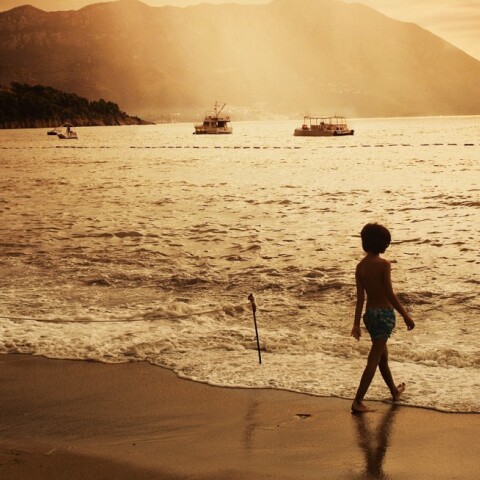 © Dana Cristea / Unsplash