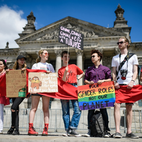 Διαδηλωτές στο Ράιχσταγκ