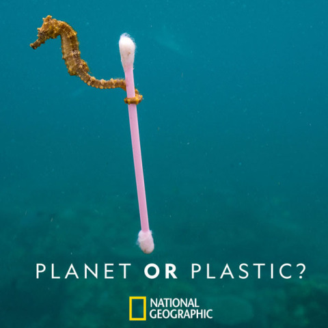 Planet or plastic? Επιλέγουμε τον πλανήτη. Κάθε πράξη μετράει.
