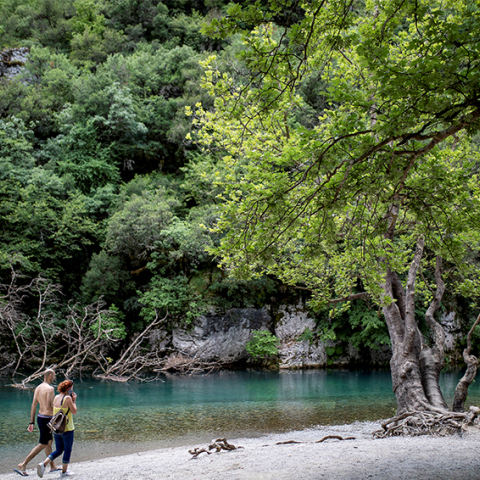 Βοϊδομάτης