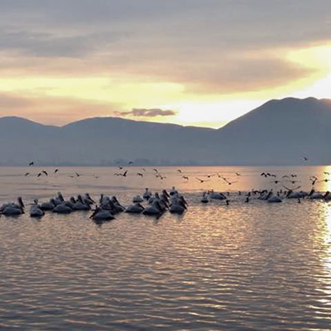 Λίμνη Καστοριάς