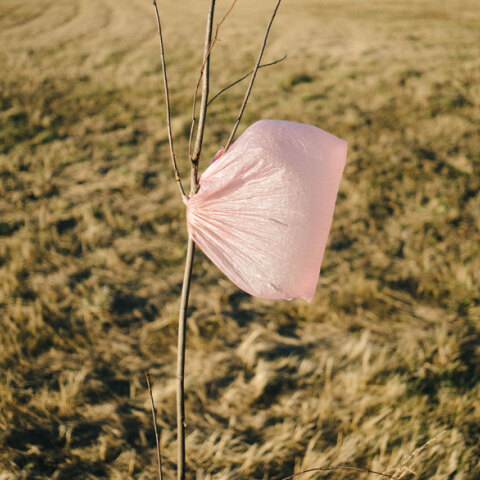 plastic-bag