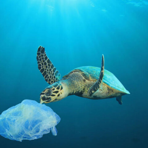 Πλαστική σακούλα 