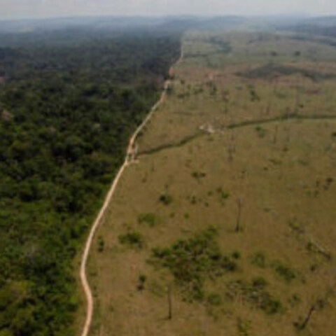 Εκδάσωση του Αμαζονίου 