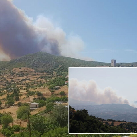 Εύβοια: Μεγάλη πυρκαγιά στην περιοχή Μανίκια