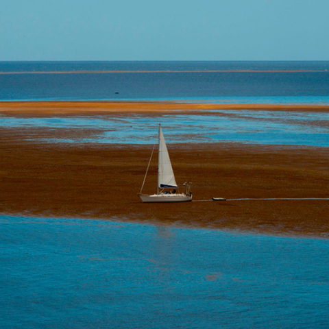 Θάλασσα των Σαργασών