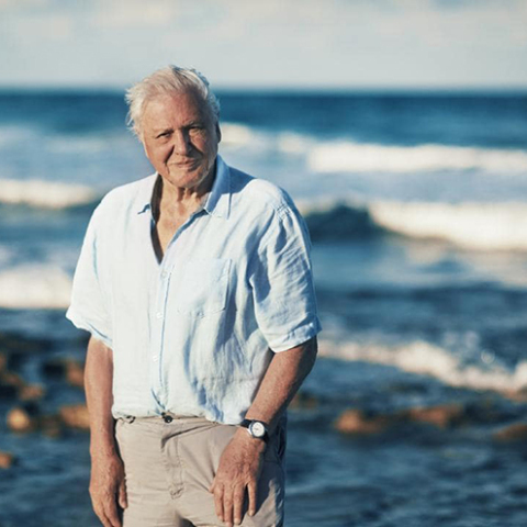 Ντέιβιντ Ατένμπορο