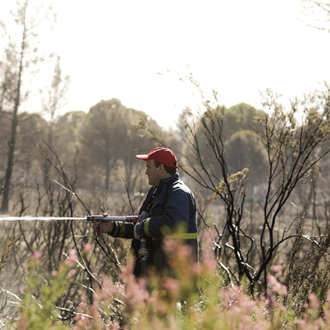 Φωτιά στη Μάνδρα