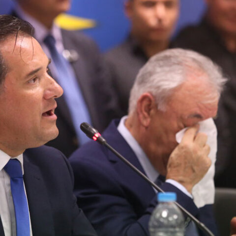 Άδωνις Γεωργιάδης