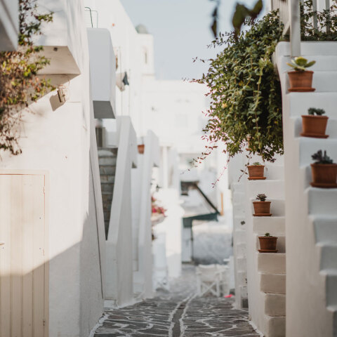 Φωτογραφία: Annie Spratt/ Unsplash