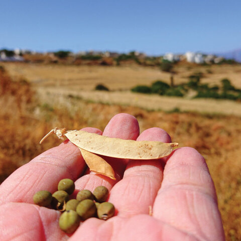 Φωτό: ΓΙΑΝΝΗΣ ΓΑΒΑΛΑΣ
