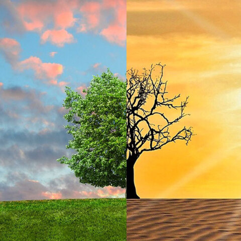 climate-change.jpg