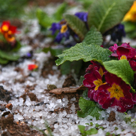 Χαλαζόπτωση