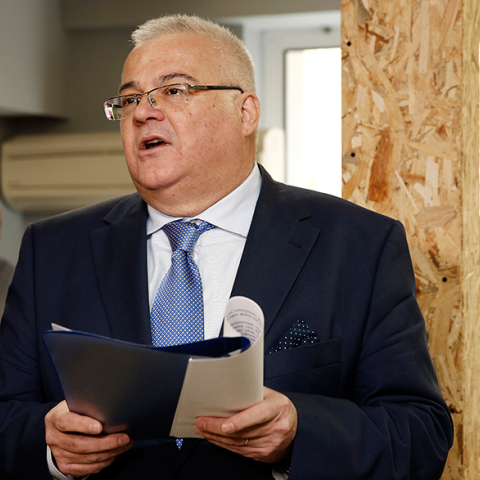 Μιχάλης Ψύλος