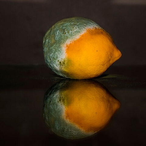 Σάπιο λεμόνι