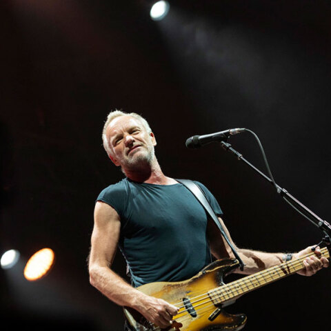 sting