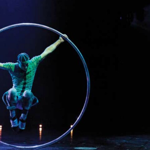 Bazzar, Cirque du Soleil