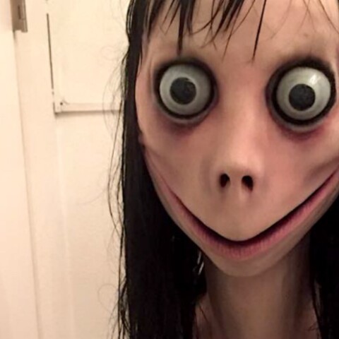 momo.jpg