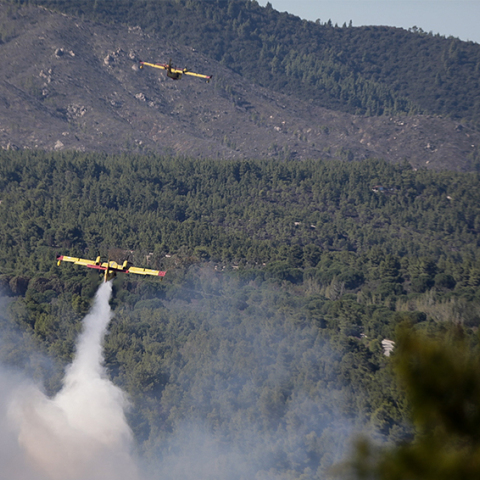 Φωτιά στην Εύβοια