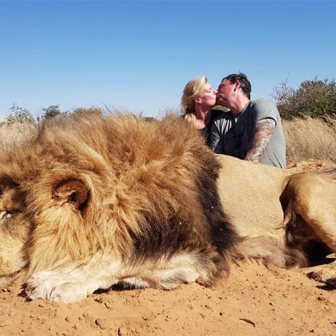 Σαφάρι στη Νότια Αφρική