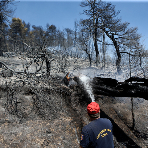 Πυροσβεστική