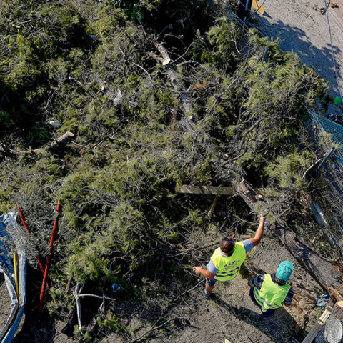 Καταστροφές στη Χαλκιδική