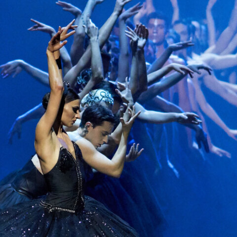 Εθνική Λυρική Σκηνή, Λίμνη των Κύκνων © Maria Cheilopoulou