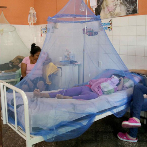 Δάγκειος πυρετός