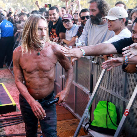 Iggy Pop Free New Album.jpg