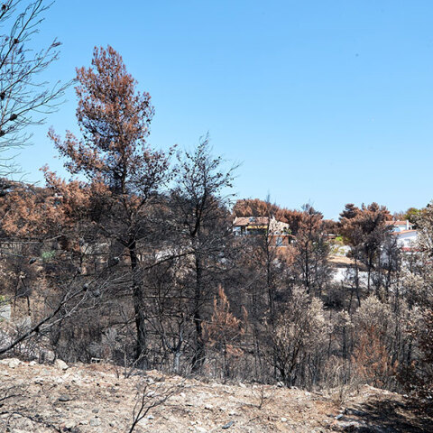 Φωτιά στο Μάτι