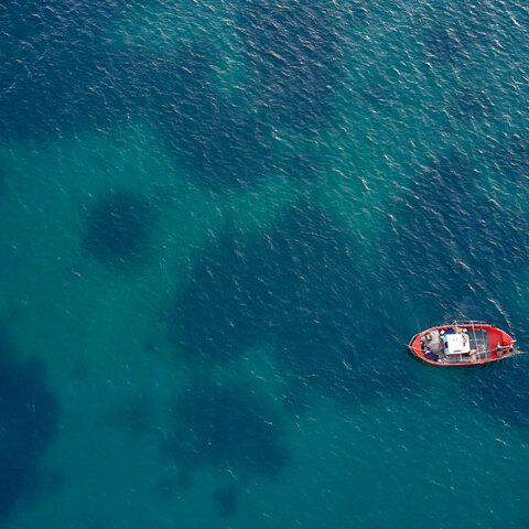 Καλοκαιρινά στιγμιότυπα