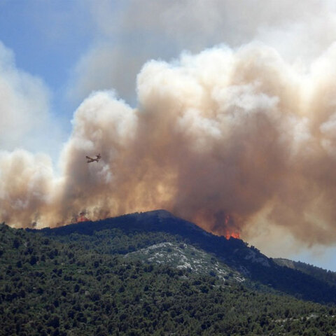 Δασική πυρκαγιά