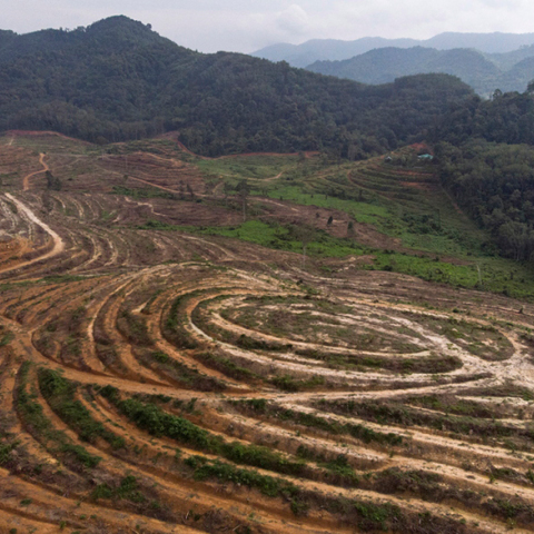 Αεροφωτογραφία της αποψίλωσης δασών στη Βραζιλία