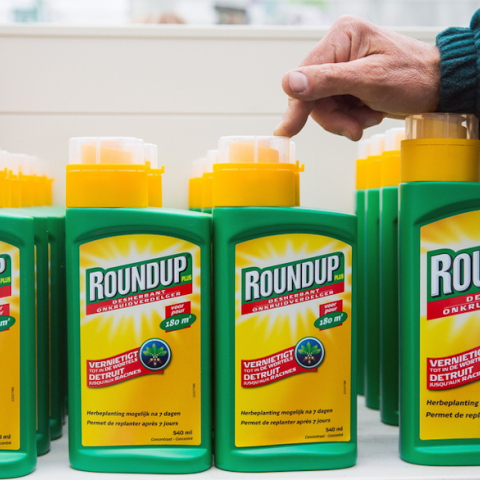 roundup
