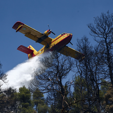 Φωτιά στην Εύβοια