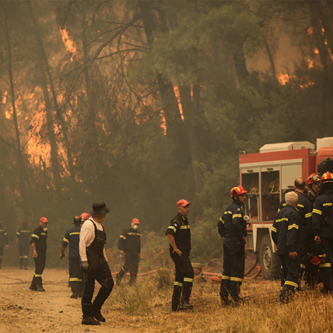 Φωτιά στην Εύβοια καίει πευκοδάσος Natura
